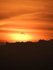 Atardecer en isla mujeres, uno de los imprescindibles de la Rivera Maya