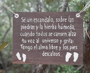 Una de las top 10 cosas instagrameables y baratas que puedes hacer es paddle surf en el Cenote Pies Descalzos y encuentra frases inspiradoras como esta