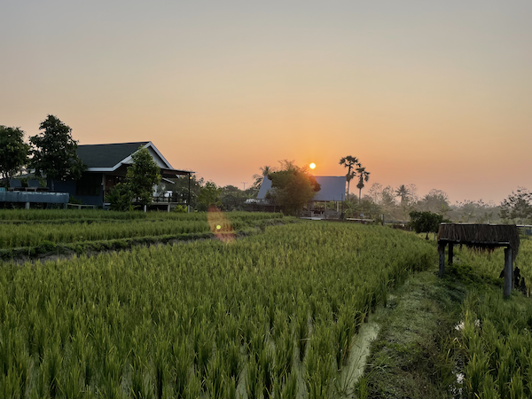 Dormir entre arrozales, entre las cosas Qué hacer en el Parque Nacional Doi Inthanon