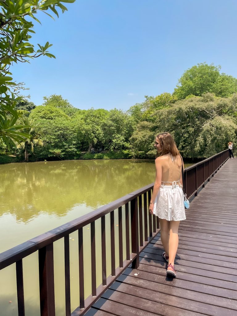 Ruta de mediodía por la selva escondida de Bangkok