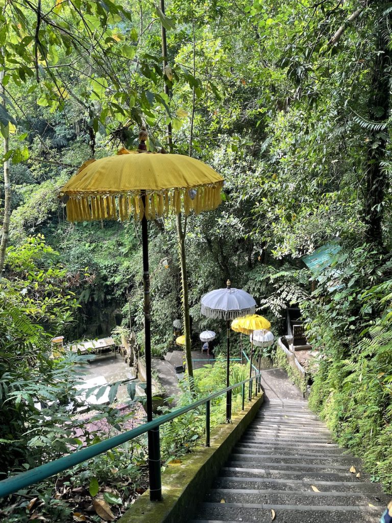 Ruta de 1 día en Ubud: cascadas, pueblo tradicional y arrozales