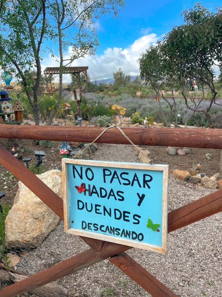 Ruta del vino por el Valle de Guadalupe