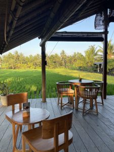 Ubud en un día: market, masaje, warung y paseo por arrozales
