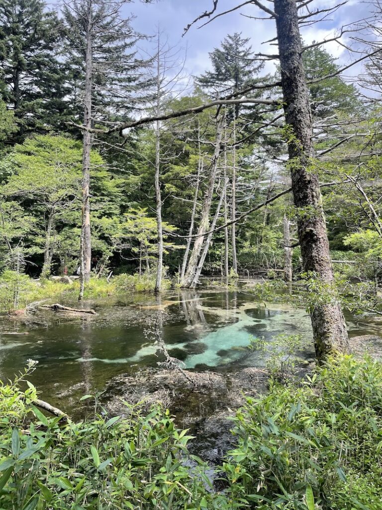 Qué hacer 2 días en los Alpes japoneses